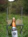 IMG_4542