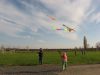 IMG_7207