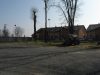 IMG_7485
