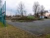 IMG_9239