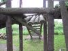 IMG_0488