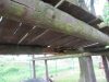 IMG_0488_b