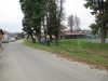 IMG_4567