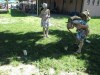 IMG_2501