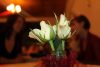 IMG_9857