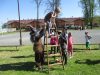 IMG_4353