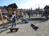 IMG_4383