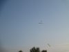 IMG_5911