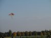 IMG_5917