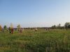 IMG_5923