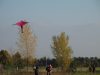 IMG_5952