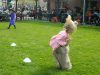 DSCN0968