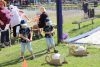 IMG_9954