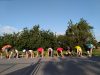 IMG_20210812_075304
