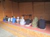 IMG_7484 (1)