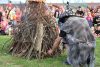 IMG_1054